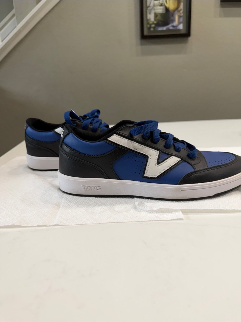 Vans Men's Low-Top Sneakers in Blue, Black & White